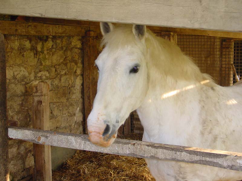 barbotage, mashes et petits extra ! Dsc02559