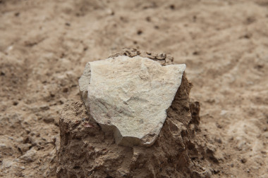 Descubren las herramientas de piedra más antiguas  Descubren-las-herramientas-de-piedra-mas-antiguas_image_380