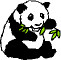 Question and answer animal jokes Panda