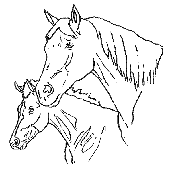 Dibujos de caballos para imprimir y colorear Caballo-10