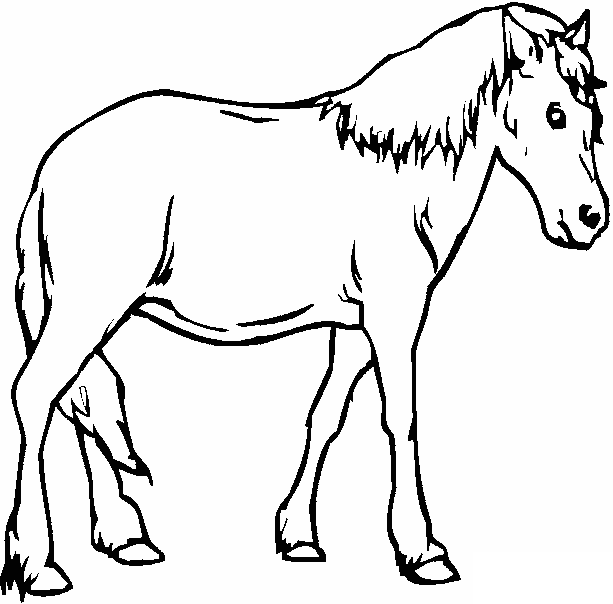 Dibujos de caballos para imprimir y colorear Caballo-17