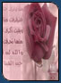 فلاشيات أناشيد  89