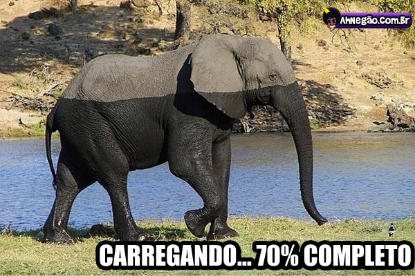 Hora de Rir~ - Página 24 Elefante