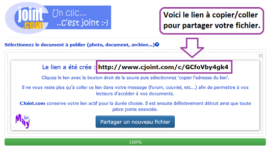 Transmettre un rapport via cjoint.com Lien_cree_cjoint