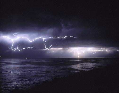  نتيجه المرحله الثالثه (( الجزء الاول والثانى )) من مسابقه الفرسان  19911011%20Gaviota%2036%20Lightning%20Lulu%2011x14%20l