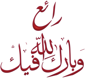 5- مواضيع بكالوريا Sujets Type BAC كتاب المراجعة النهائية في اللغة الفرنسية تحضيرا للبكالوريا Raaae3