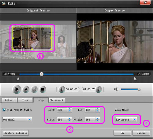 How to Convert DVD and Video to Your Fashionable iPad Crop