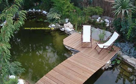 Estilos de Decoración VIII - Página 15 Piscina_natural