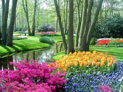 مهرجان الزهور في هولندا.... صور روعة Keukenhof