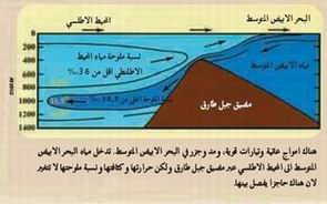 رحلة بين جبل طارق وباب المندب 59782180