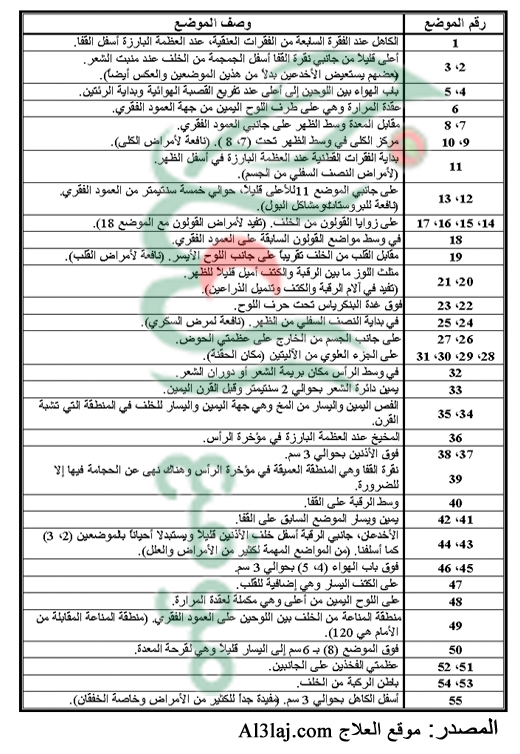 شرح مواضع الحجامة على جسم الإنسان PlacesCuppingOnBack