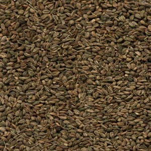 فوائد نبات النانخة الطبية Ajwain