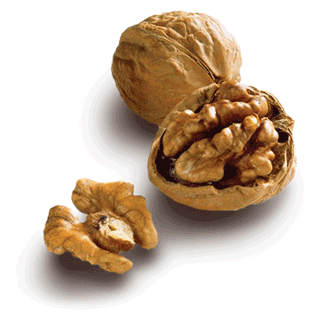 التشابه بين شكل النبتة وبين خصائصها العلاجية Walnuts