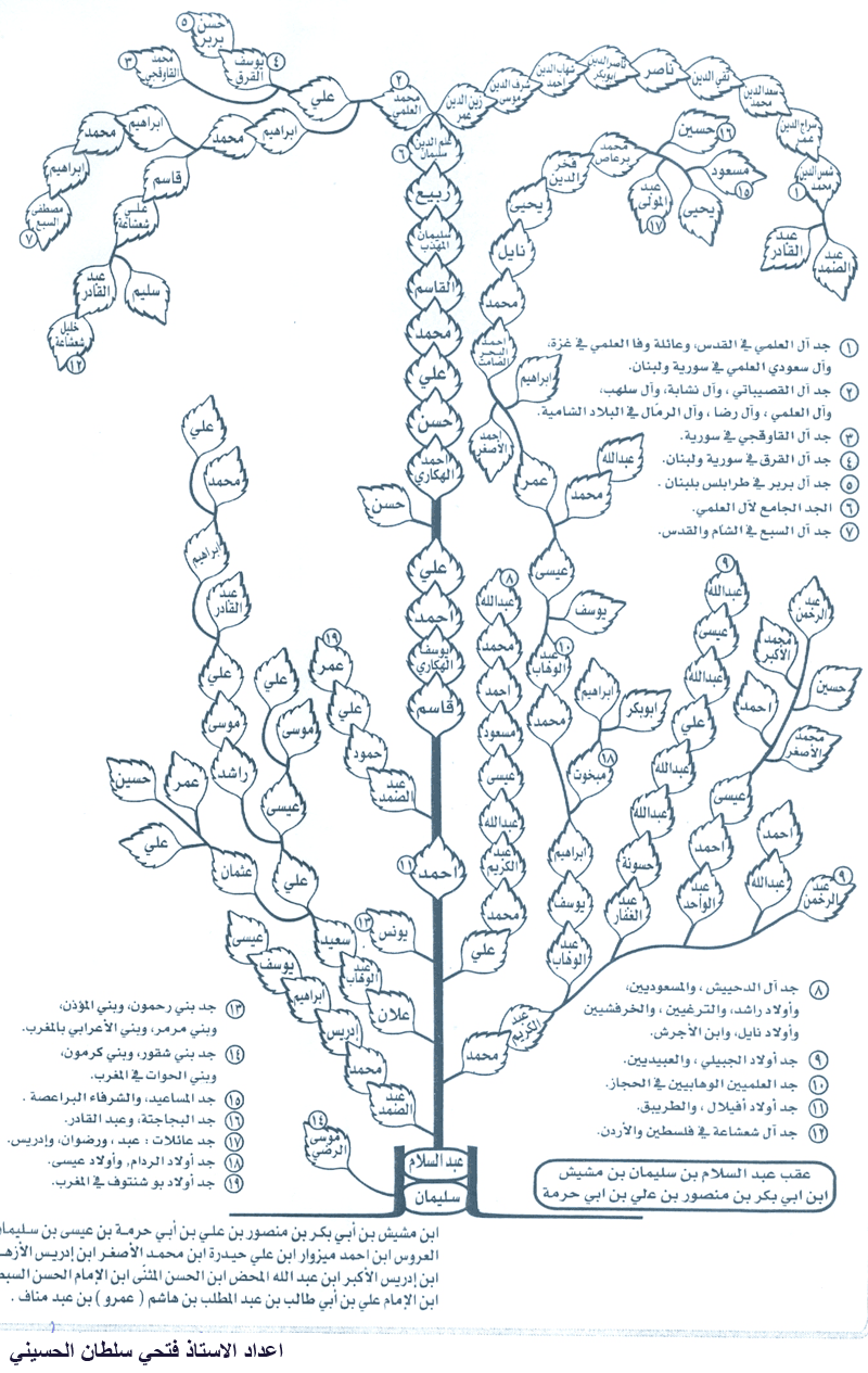  شجرة ذرية سيدي عبدالسلام بن مشيش  Tree_big