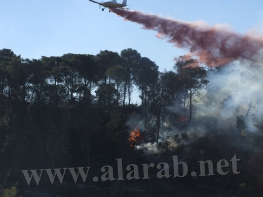 الشرطة تعلن التعرف على جميع جثث ضحايا كارثة الكرمل وتسمح بعودة بعض النازحين Alarab031210a36