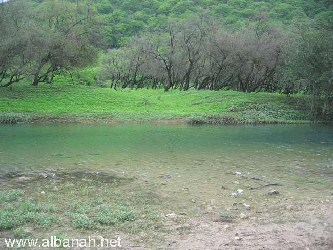 انها سلطنة عمان وليست سويسرا 009