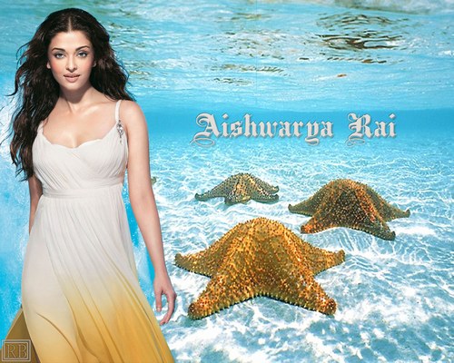        2045_68549752_aishwarya_rai_494_H165208_L