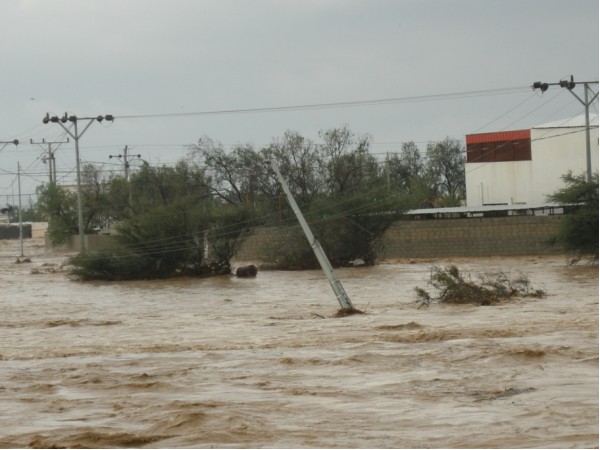 الامطارعلى منطقة تبوك + صــــــــور من منطقة ضباء 12741_21263798403