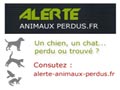 Chien trouvé URGENT - Page 2 Logo_120_90