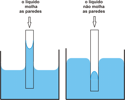 Congelamento e Deslocamente de Seiva FQM010302a