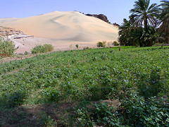 جولة سياحية فى اعماق الريف السودانى - صفحة 2 166666666