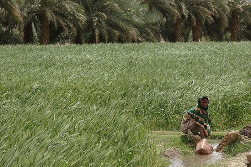 جولة سياحية فى اعماق الريف السودانى 2009