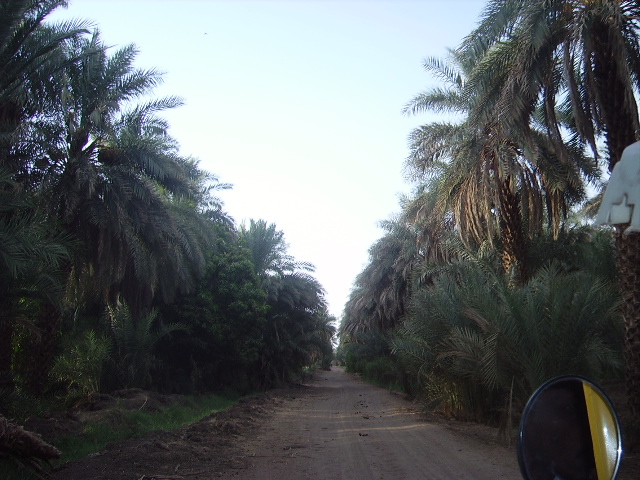 جولة سياحية فى اعماق الريف السودانى 5759