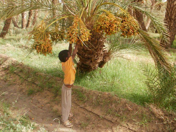 جولة سياحية فى اعماق الريف السودانى 6000004