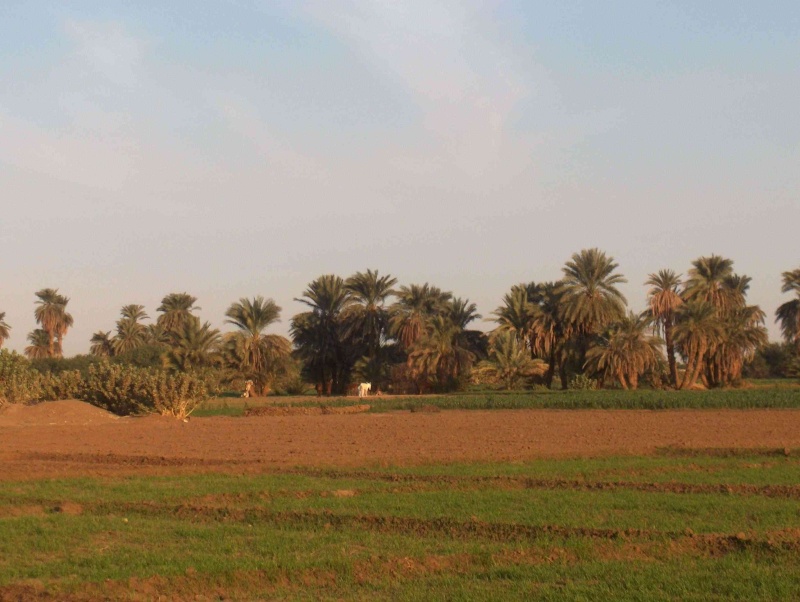 جولة سياحية فى اعماق الريف السودانى 8812