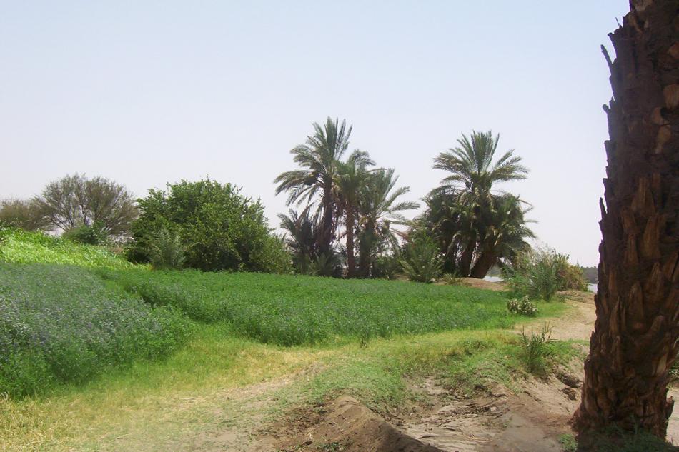 جولة سياحية فى اعماق الريف السودانى 100_2171