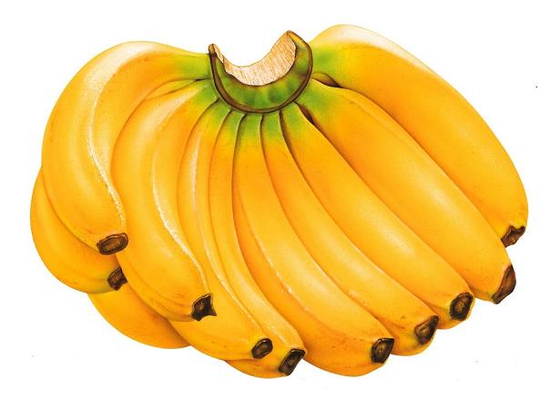 الموز" يعادل البطاطس كمصدر غذائي لملايين البشر Banana.1