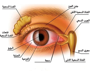 أعراض تنذر بمشاكل البصر لدى الأطفال 250684