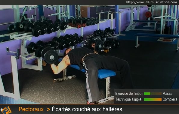 أفضل التمارين بالأثقال لعضلة الصدر Pectoraux-ecartes-couches-avec-halteres-1