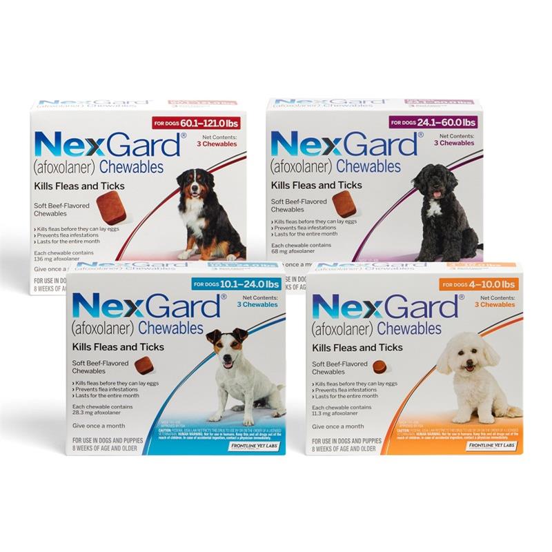 NexGard® et autres antiparasitaires par voie orale 5229