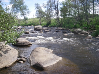 Lozère 3ème jour:  Le Bes - Un coin de Paradis 15436941364651f3deba1adimgp0311