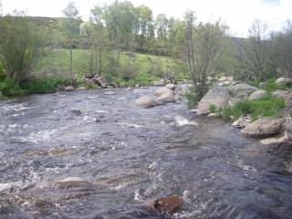 Lozère 3ème jour:  Le Bes - Un coin de Paradis 19224683944651f41dc2fe1imgp0310