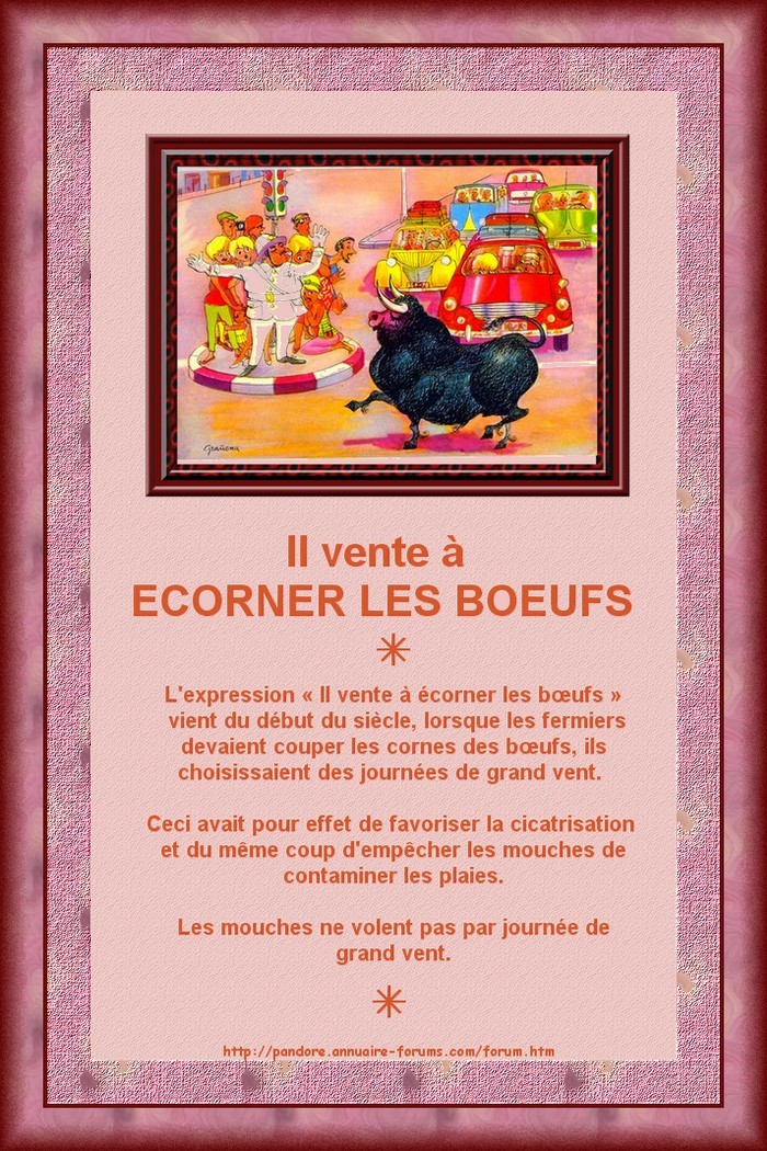 ECORNER LES BOEUFS 20366002449d20f12adf2fsanstitre131