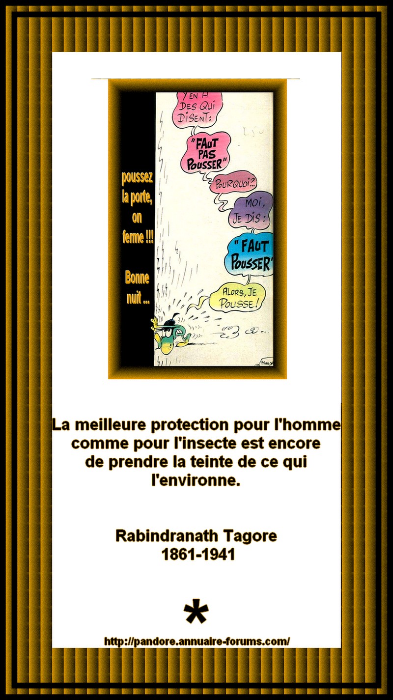 ARCHIVES DE POESIE ET TEXTES N° 37 11971861624e7124003db7f0hor9