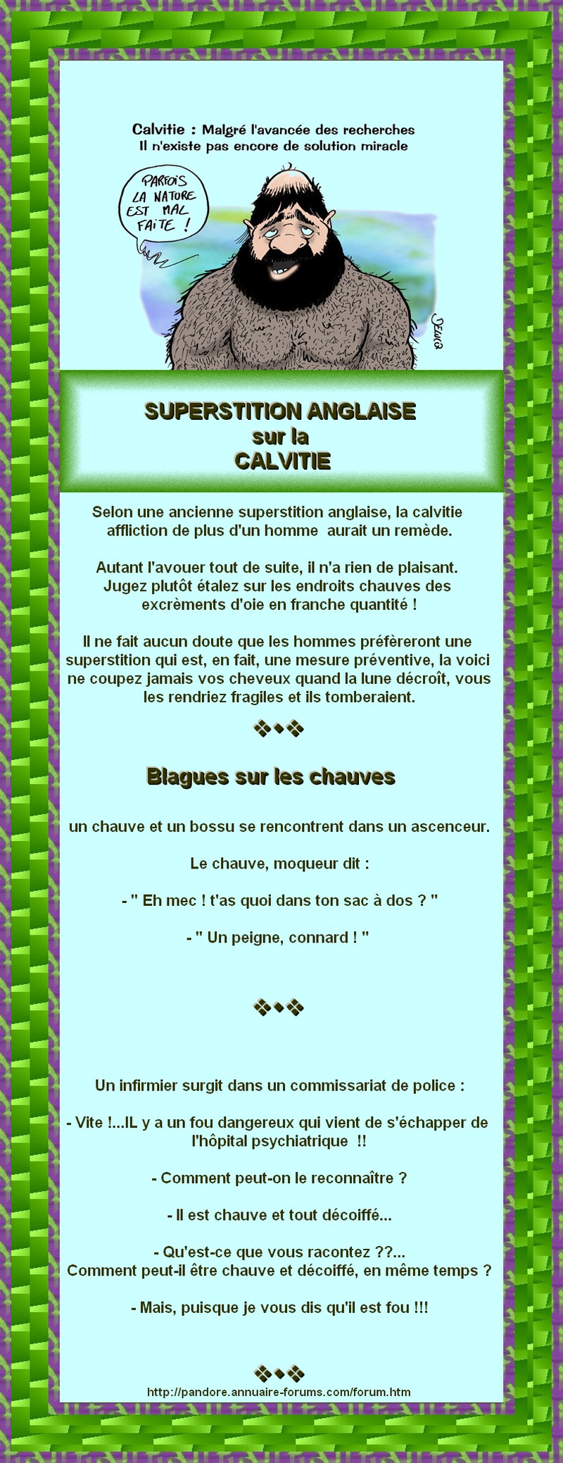 CALVITIE - RECETTE POUR LES CHAUVES UN PEU DE MERDE D'OIE 12891231914b58b73fec9ca1routa