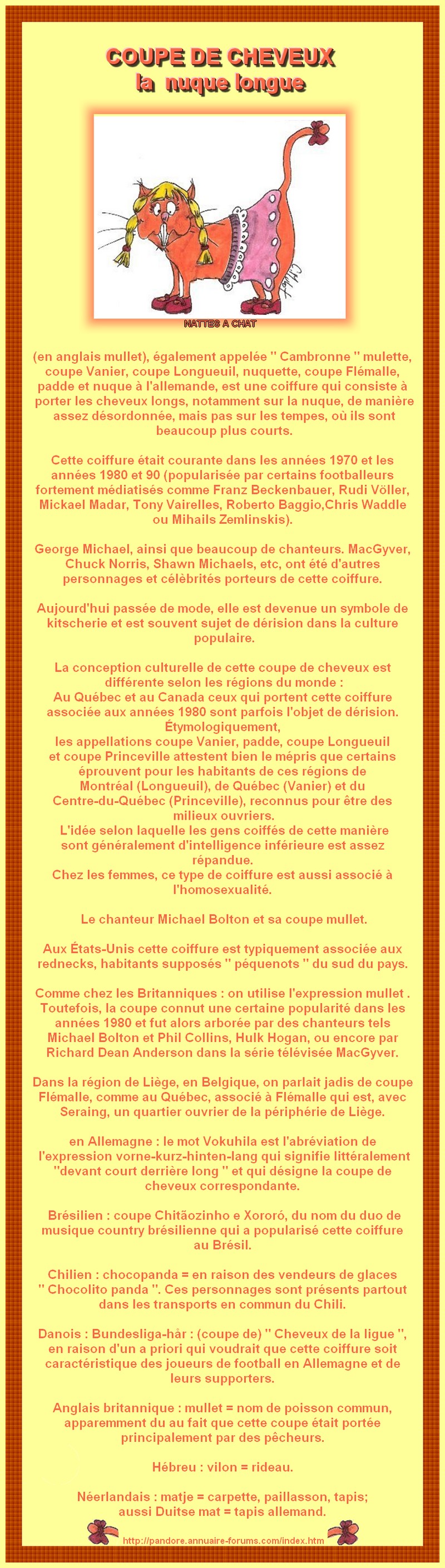 COUPE DE CHEVEUX LONGS DERRIERE COURT DEVANT - ASSOCIE AUSSI A L'HOMOSEXUALITE POUR LES FEMMES :  LE MULLET 1970 16647618054aedbf4bc22ab5