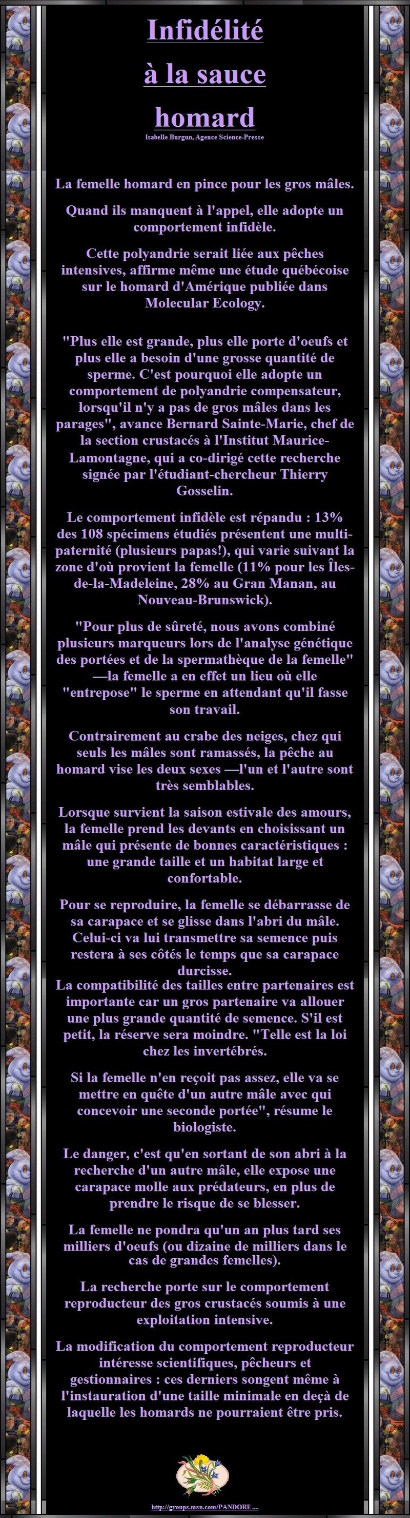 L'INFIDELITE DU HOMARD - QUAND IL MANQUE A L'APPEL ELLE ADOPTE UN COMPORTEMENT INFIDELE 963638404b33a2b27ecaasanstitre15