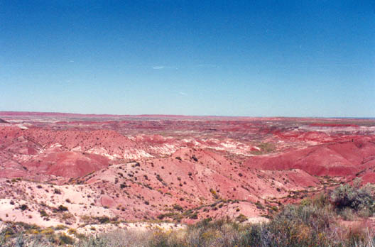    DESERTO%20DIPINTO%20-%20ARIZONA