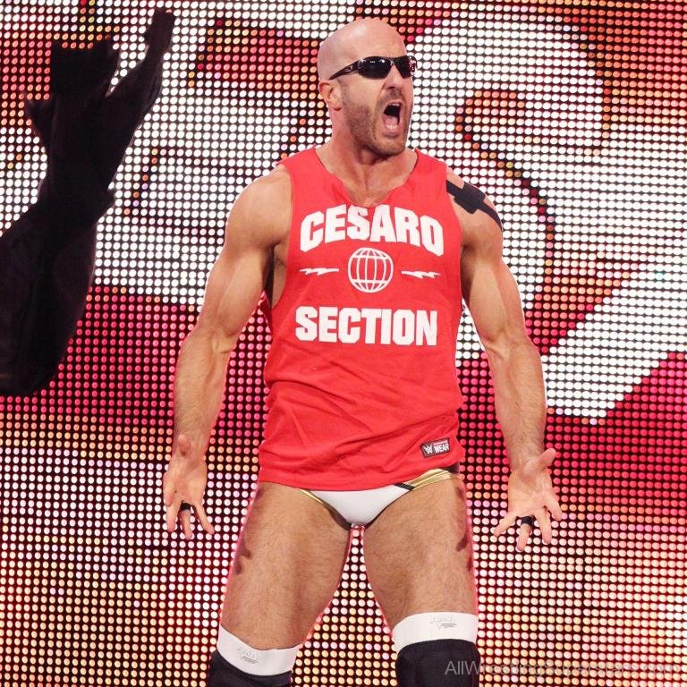 Resultados Elimination Chamber Cesaro-Entrance