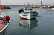اذاعة تطاوين التونسية: تعرّض مركب صيد تونسي الى هجوم نفذته مجموعة ليبية!!~  Ben_lib-27062012