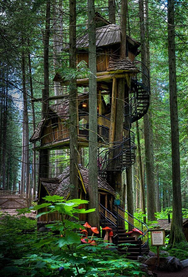 منازل بتصاميم من عالم الخرافات Treehouse