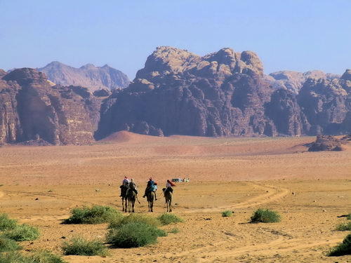  فندق مونتريال قلعة الشوبك جوهرة الصحراء الاردن  26314alsh3er