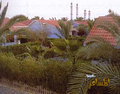 العريش (مدينتى 10359_01215135248