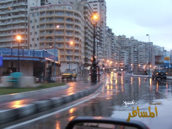 الاسكندرية في فصل الشتاء 10359_01230241077