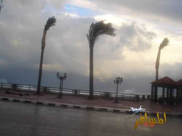 الاسكندرية في فصل الشتاء 10359_01230243444