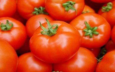 الطماطم اليمنية تحتل المرتبة الأولى عالمياً من حيث الجودة 11-08-30-1703829611